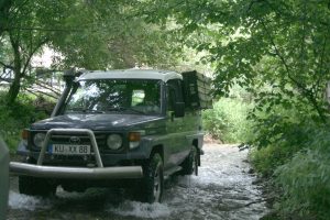 HZJ78 im zugewachsenen Bach